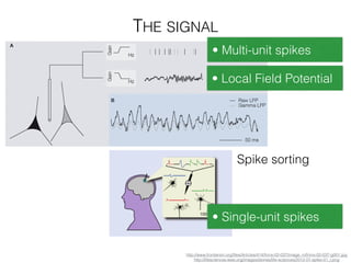 THE SIGNAL
http://www.frontiersin.org/ﬁles/Articles/414/fnins-02-037/image_m/fnins-02-037-g001.jpg
http://lifesciences.ieee.org/images/stories/life-sciences/2012-01-spike-01_l.png
• Multi-unit spikes
• Local Field Potential
• Single-unit spikes
Spike sorting
 