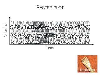 RASTER PLOT
Time
Neurons
rastrum
 