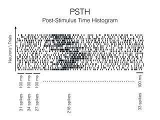 PSTH
Post-Stimulus Time Histogram
NeuronsTrials
100ms
100ms
100ms
100ms
31spikes
34spikes
27spikes
218spikes
33spikes
 