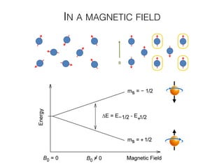 IN A MAGNETIC FIELD
 
