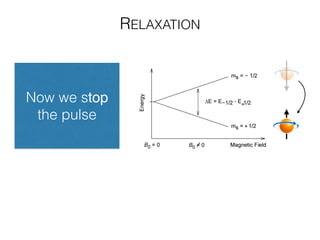 RELAXATION
Now we stop
the pulse
 