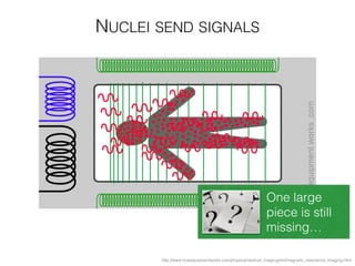 http://www.howequipmentworks.com/physics/medical_imaging/mri/magnetic_resonance_imaging.html
NUCLEI SEND SIGNALS
One large
piece is still
missing…
 