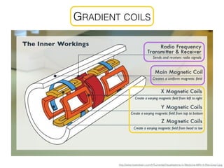 GRADIENT COILS
http://www.howtolearn.com/HTL/media/Visualisations-in-Medicine-MRI-Hi-Res-Crop1.jpg
 