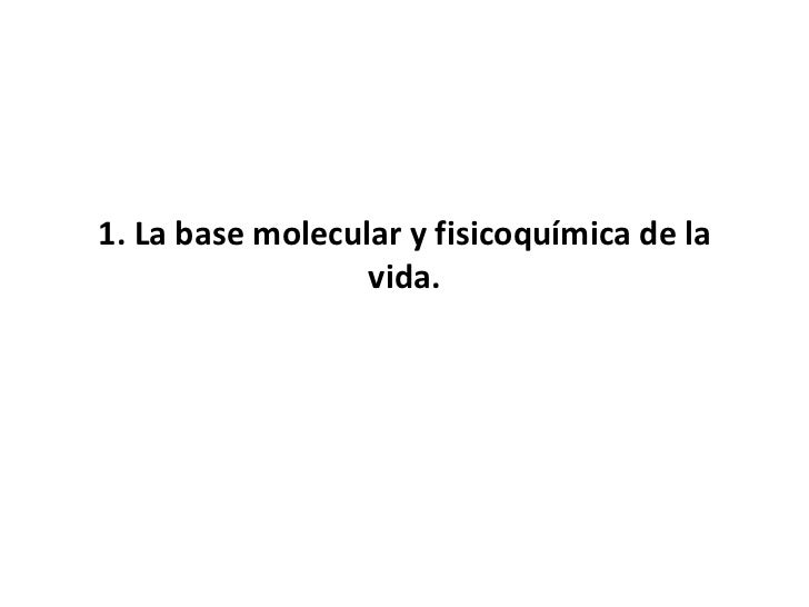 La Base Molecular Y Fisicoquímica De La Vida