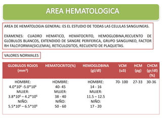 AREA DE HEMATOLOGIA GENERAL: ES EL ESTUDIO DE TODAS LAS CELULAS SANGUINEAS.

EXAMENES: CUADRO HEMATICO, HEMATOCRITO, HEMOGLOBINA,RECUENTO DE
GLOBULOS BLANCOS, EXTENDIDO DE SANGRE PERIFERICA, GRUPO SANGUINEO, FACTOR
RH FALCIFORMIA(SICLEMIA), RETICULOSITOS, RECUENTO DE PLAQUETAS.

VALORES NORMALES

  GLOBULOS ROJOS      HEMATOCRITO(%)    HEMOGLOBINA        VCM     HCM     CHCM
.     (mm3)                                (gl/dl)         (u3)    (pg)    (gr/dl)
                                                                             (%)
      HOMBRE:            HOMBRE:           HOMBRE:       70- 100   27-33   30-36
  4.0*106 -5.0*106        40- 45            14 - 16
       MUJER:             MUJER:            MUJER:
  3.8*106 – 4.2*106       38 - 40         11.5 – 12.5
       NIÑO:              NIÑO:             NIÑO:
  5.5*106 – 6.5*106       50 - 60           17 - 20
 