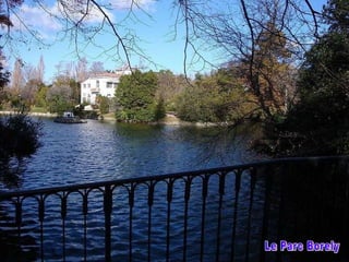 Le Parc Borely 