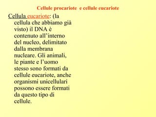 Cellule procariote e cellule eucariote
Cellula eucariote: (la
cellula che abbiamo già
visto) il DNA è
contenuto all’interno
del nucleo, delimitato
dalla membrana
nucleare. Gli animali,
le piante e l’uomo
stesso sono formati da
cellule eucariote, anche
organismi unicellulari
possono essere formati
da questo tipo di
cellule.
 