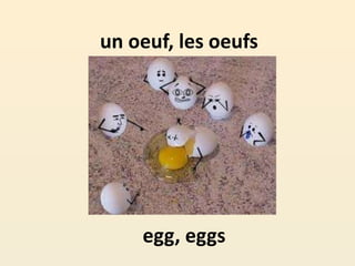 un oeuf, les oeufs
egg, eggs
 
