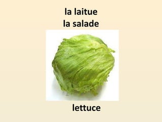 la laitue
la salade
lettuce
 