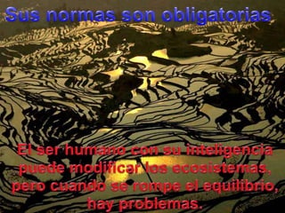 Susnormas son obligatoriasEl ser humano con suinteligenciapuedemodificar los ecosistemas, perocuando se rompe el equilibrio, hay problemas.