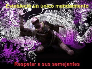 Estableció un únicomandamientoRespetar a sussemejantes