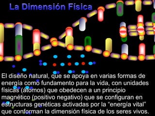 La DimensiónFísicaEldiseño natural, que se apoyaen variasformas de energíacomofundamentopara la vida, con unidadesfísicas (átomos) queobedecen a un principio magnético (positivonegativo) que se configuran en estructurasgenéticasactivadaspor la “energía vital” queconforman la dimensiónfísica de los seresvivos. 