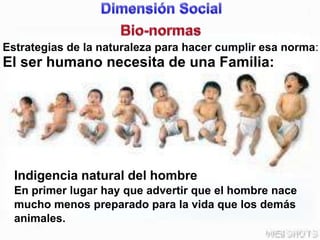 DimensiónSocialBio-normasEstrategias de la naturaleza para hacer cumplir esa norma:El ser humano necesita de una Familia:Indigencia natural del hombreEn primer lugar hay que advertir que el hombre nace mucho menos preparado para la vida que los demás animales.