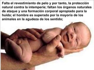 Falta el revestimiento de pelo y por tanto, la protección natural contra la intemperie; faltan los órganos naturales de ataque y una formación corporal apropiado para la huida; el hombre es superado por la mayoría de los animales en la agudeza de los sentido;