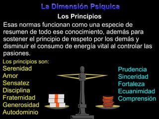 La DimensiónPsiquicaLos PrincipiosEsas normas funcionan como una especie de resumen de todo ese conocimiento, además para sostener el principio de respeto por los demás y disminuir el consumo de energía vital al controlar las pasiones.Los principios son:SerenidadAmorSensatezDisciplinaFraternidadGenerosidadAutodominioPrudenciaSinceridadFortalezaEcuanimidadComprensión