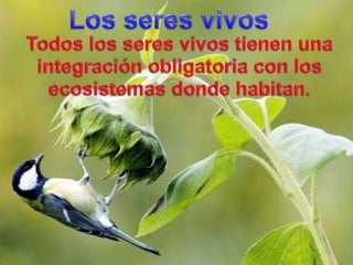 Los seresvivosTodos los seresvivostienenunaintegraciónobligatoria con los ecosistemasdondehabitan.