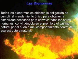 Las BionormasTodaslasbionormasestablecen la obligación de cumplir el mandamientoúnicoparaobtener la estabilidadnecesariaparaconvivirtodoslos sereshumanos, convirtiéndola en el premio o el castigo natural por el buen o mal comportamientodentro de esaestructura natural.