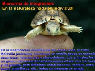 Bionorma de integración:En la naturaleza nada es individualEn la clasificación científica de los seres vivos, el reino Animalia (animales) constituye un amplio grupo de especies eucariotas, heterótrofas y pluricelulares. Los animales forman un grupo natural estrechamente emparentado con los hongos y las plantas, pero definidos como Insectos, réptiles, aves, peces, mamiferos, etc., todos se procrean en pareja. 