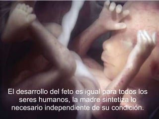El desarrollo del feto es igual para todos los seres humanos, la madre sintetiza lo necesario independiente de su condición.