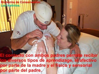 Bionorma de Conservación:Los instintos.El contacto con ambos padres permiterecibir los diversostipos de aprendizage, el afectivopor parte de la madre y el físico y sensorial por parte del padre.