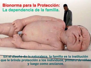 Bionormapara la Protección:La dependencia de la familia.En el diseño de la naturaleza, la familiaes la instituciónque le brindaprotección a los individuos, primero de niños y luegocomoancianos.