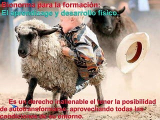 Bionormapara la formación:El aprendizagey desarrollofísico.Es un derecho inalienable el tenerla posibilidad de autotransformarse, aprovechandotodaslascondiciones de suentorno.