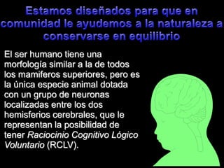 Estamosdiseñadosparaque en comunidad le ayudemos a la naturaleza a conservarse en equilibrioEl ser humanotieneunamorfología similar a la de todos los mamiferossuperiores, peroesla únicaespecieanimal dotada con un grupo de neuronaslocalizadas entre los dos hemisferioscerebrales, que le representan la posibilidad de tenerRaciocinioCognitivoLógicoVoluntario (RCLV).