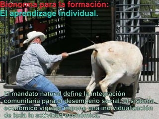Bionormapara la formación:El aprendizageindividual.El mandatonatural define la integracióncomunitariapara el desempeño social, el sistemaeconómicovigenteimponeunaindividualización de toda la actividadeconómica.