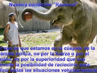 Nuestracondición “Racional”Poresoesqueestamos en la cúspide de la pirámidetrófica, no por la fuerza o por el tamaño, espor la superioridadquenos concede la posibilidad de raciocinioparadefinirtodaslassituacionesvoluntariamente.