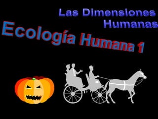 Las Dimensiones Humanas Ecología Humana 1 