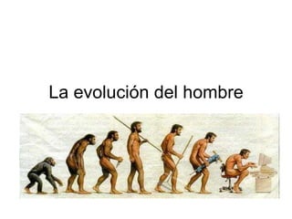 La evolución del hombre 