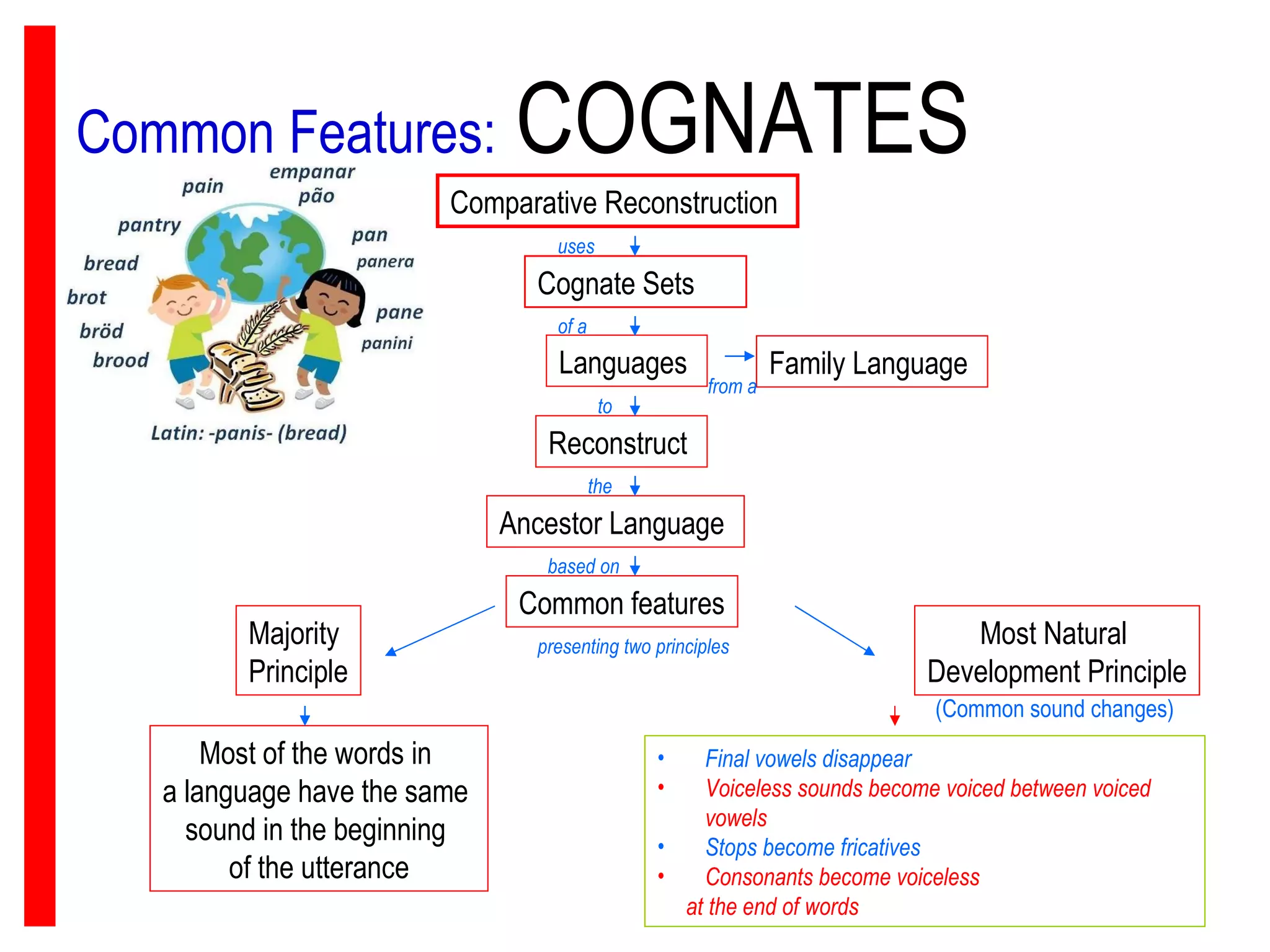 Common Features:   COGNATES Cognate Sets Comparative Reconstruction  Languages  Family Language  Ancestor Language  Common features the uses Reconstruct  Majority  Principle Most Natural  Development Principle Most of the words in  a language have the same  sound in the beginning  of the utterance (Common sound changes) Final vowels disappear Voiceless sounds become voiced between voiced vowels Stops become fricatives Consonants become voiceless  at the end of words of a from a to based on presenting two principles 