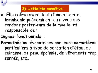 19
3) L’atteinte sensitive
a- Elle relève avant tout d’une atteinte
lemniscale prédominant au niveau des
cordons postérieurs de la moelle, et
responsable de :
Signes fonctionnels :
Paresthésies, évocatrices par leurs caractères
particuliers à type de sensation d'étau, de
cuirasse, de peau épaissie, de vêtements trop
serrés, etc..
 