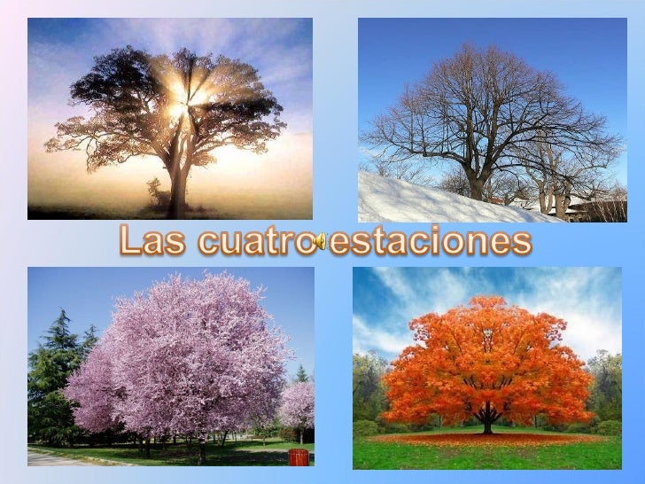 Antonio Vivaldi* Vivaldi·/ Polish Chamber Philarmonic - The Four Seasons Antonio Vivaldi* Vivaldi·/ Polish Chamber Philarmonic - The Four Seasons