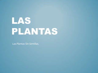 LAS
PLANTAS
Las Plantas Sin Semillas.
 