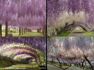 Jardines japoneses
 