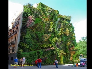 Jardines verticales de interior
Jardines verticales
 
