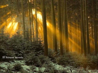 El bosque nevado
 