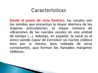 Desde el punto de vista fonético, las vocales son
los sonidos que presentan la mayor abertura de los
órganos articulatorios, el mayor número de
vibraciones de las cuerdas vocales en una unidad
de tiempo .... Además, en español, la vocal es el
único sonido capaz de constituir un núcleo silábico
bien por si misma, bien rodeada de otras
consonantes, que forman los llamados márgenes
silábicos.
 