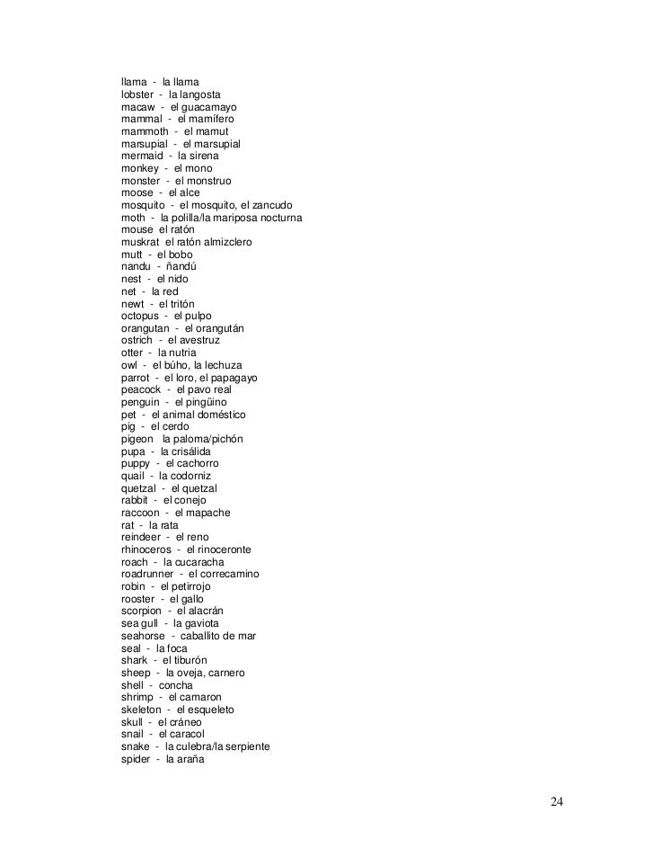 Rabbit Stew Ar Er Ir Verbs Preterite Tense Worksheet Answers Idaman