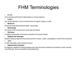 Fish Terminologies 1 Lecture 1 Basic Fish Health Terminologies.pdf