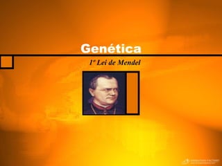 Genética 1º Lei de Mendel 