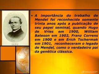 A importância do trabalho de Mendel foi reconhecida somente trinta anos após a publicação de seu papel seminal, quando Hugo de Vries em 1900, William Bateson em 1902, Franz Correns em 1900 e em Erich Tschermak em 1901,  reconheceram o legado de Mendel, como o verdadeiro pai da genética clássica. 