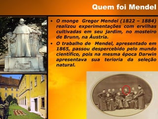 Quem foi Mendel O monge  Gregor Mendel (1822 – 1884) realizou experimentações com ervilhas cultivadas em seu jardim, no mosteiro de Brunn, na Áustria.  O trabalho de  Mendel, apresentado em 1865, passou despercebido pelo mundo científico, pois na mesma época Darwin apresentava sua terioria da seleção natural. 