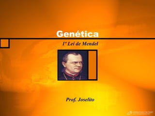 Genética 1º Lei de Mendel Prof. Joselito 