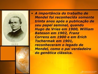 • A importância do trabalho de
Mendel foi reconhecida somente
trinta anos após a publicação de
seu papel seminal, quando
Hugo de Vries em 1900, William
Bateson em 1902, Franz
Correns em 1900 e em Erich
Tschermak em 1901,
reconheceram o legado de
Mendel, como o pai verdadeiro
do genética clássica.
 