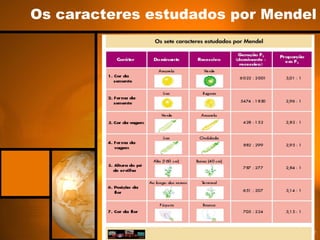 Os caracteres estudados por Mendel
 