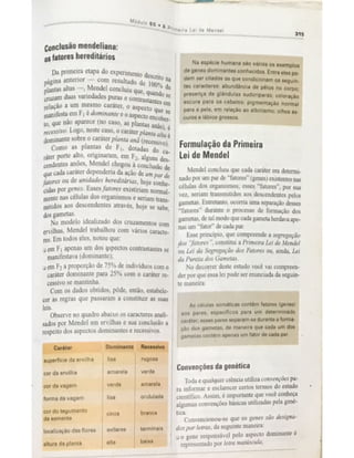 1ª lei de Mendel