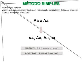 MÉTODO SIMPLESMÉTODO SIMPLES
F2: Geração Parental
Vemos a seguir o cruzamento de dois indivíduos heterozigóticos (híbridos) amarelos
obtendo a seguinte proporção:
FENÓTIPOS: 3: 1 (3 amarelo e 1 verde).FENÓTIPOS: 3: 1 (3 amarelo e 1 verde).
GENÓTIPOS: 1:2:1 (1 AA, 2 Aa e 1 aa).GENÓTIPOS: 1:2:1 (1 AA, 2 Aa e 1 aa).
AA,
Aa x Aa
Aa, Aa, aa
 