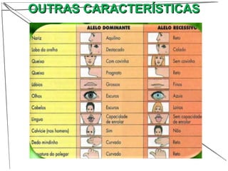 OUTRAS CARACTERÍSTICASOUTRAS CARACTERÍSTICAS
 